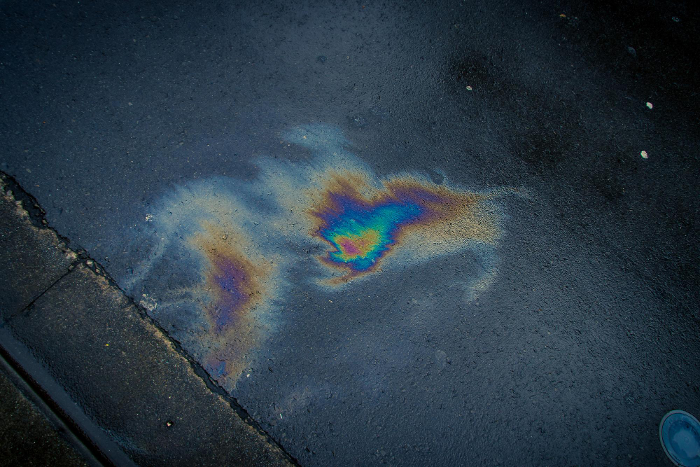 auto perde olio