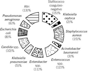 Figura 11.2 Agenti microbici più frequentemente responsabili di ICA (CDC)