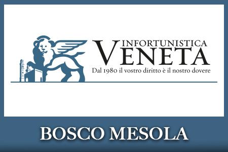 Infortunistica Codigoro (vicino a): esperti in risarcimento danni in Romagna